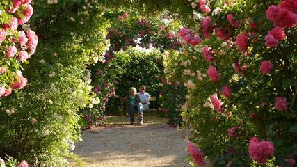 Vacation Apartment for 5 Guests in Südliche Weinstraße, Pfälzer Weinland, Picture 3