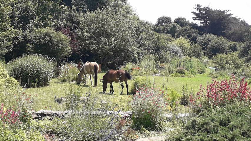 Chambre d’hôte pour 2 personnes, avec jardin