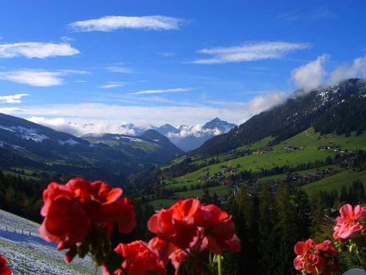 Ganze Ferienwohnung, Kaiserhof - Appartement Kaiserhof in Alpbach, Kaisergebirge
