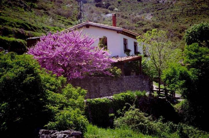 Casa rural para 9 personas, con Balcón y Terraza además de Jardín y Sauna en Rioja Baja - 2