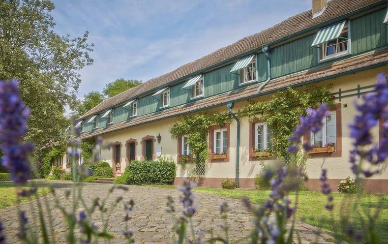 Hôtel, avec Terrasse ainsi que Jardin et Sauna