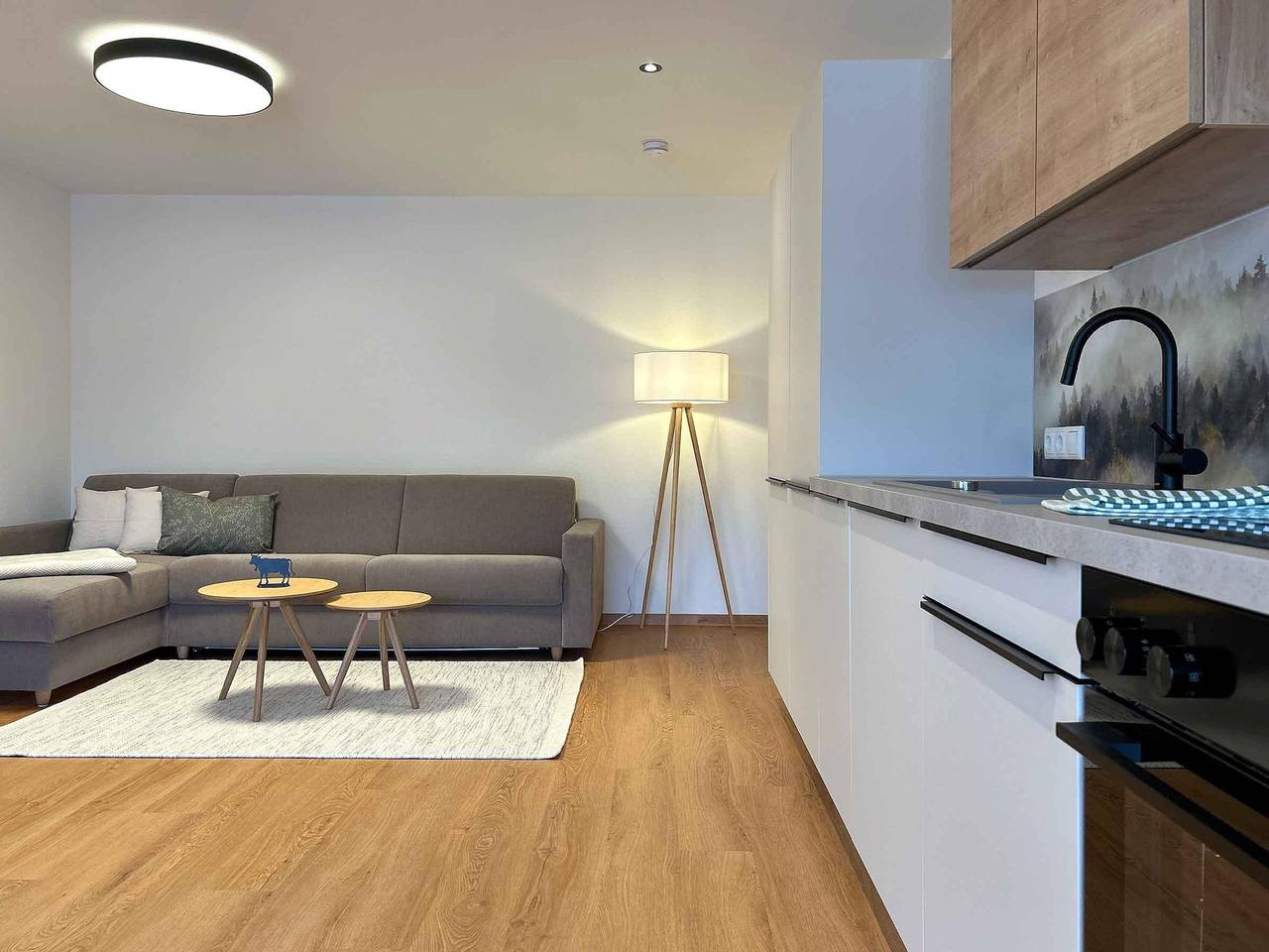 Ganze Ferienwohnung, Appartement/Fewo in Obermaiselstein, Bayerisch Schwaben