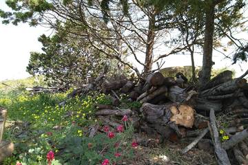 Agriturismo für 3 Personen in Castelvetrano (Gemeinde), Trapani Provinz, Bild 3