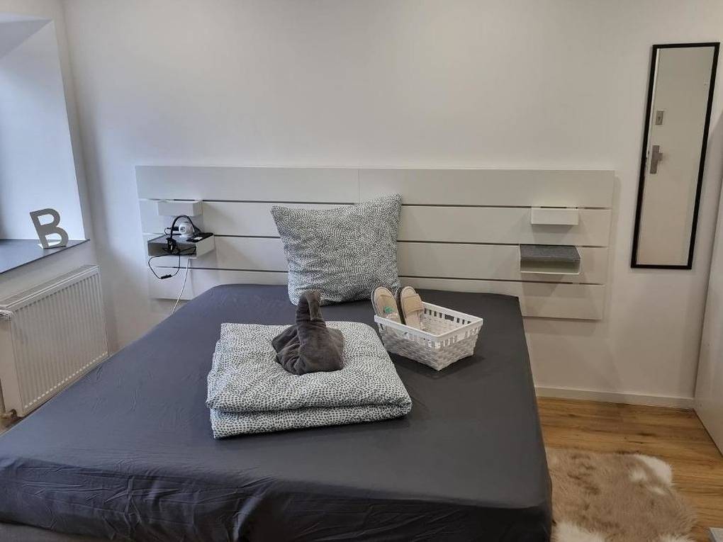 Ganze Ferienwohnung, City Central Apartment House - Apt 2 in Kaiserslautern, Saar-Nahe-Bergland