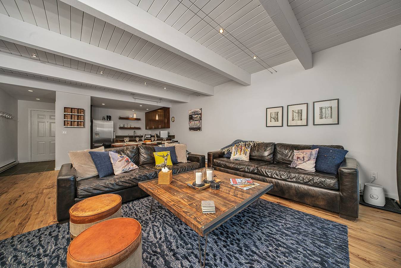 Riverside C03 - 2 Br, 2 Ba, Sleeps 6 in Telluride, Telluride Ski Resort