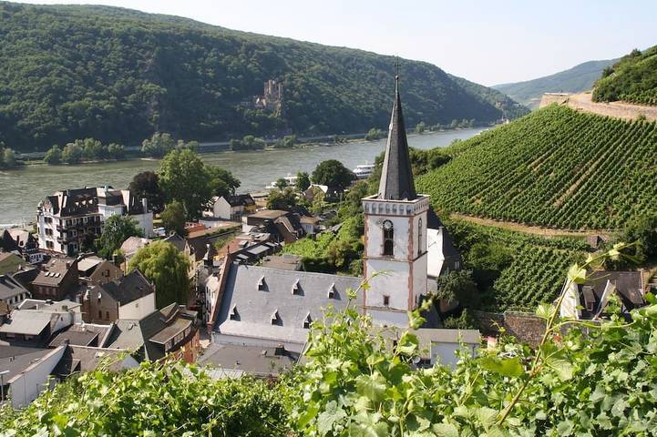 Ferienwohnung für 4 Personen im Rheingau