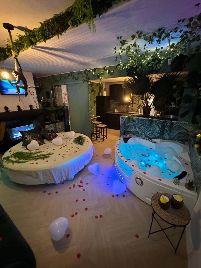 Gîte pour 2 personnes, avec jacuzzi et sauna à Vaulx-en-Velin - 3