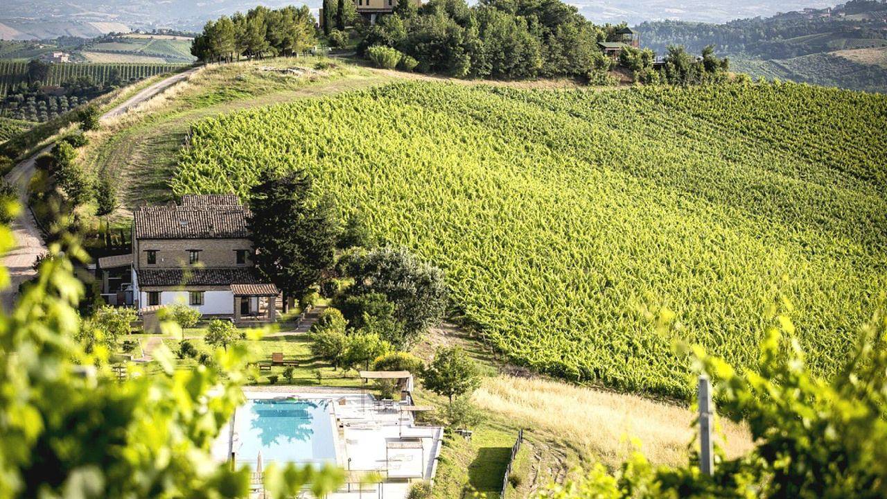 Entire holiday apartment, Ferienwohnung für 3 Personen (50 m²) in Valle Apparignano in Acquaviva Picena, Ascoli Piceno Province