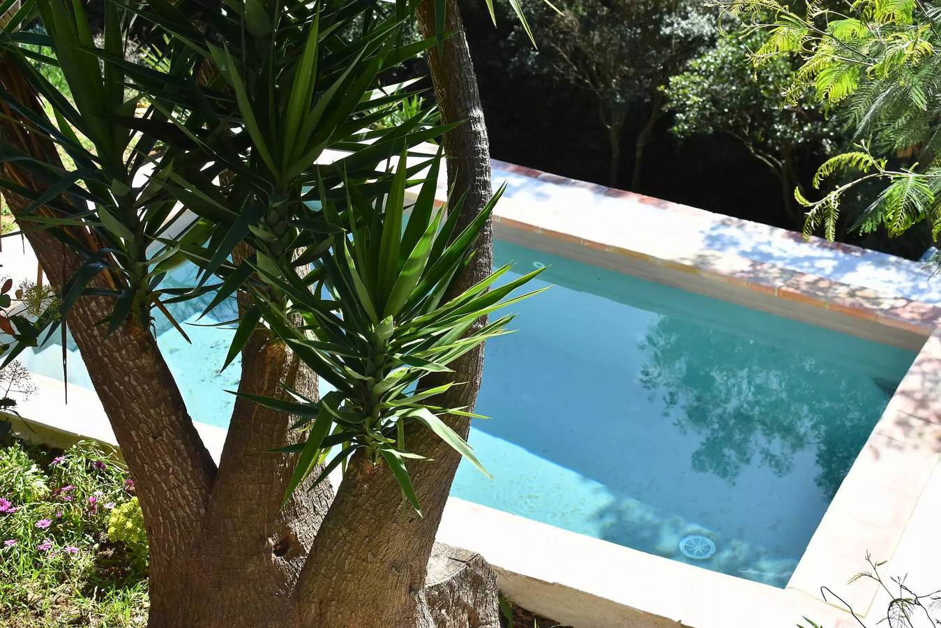 Villa 8 personas con piscina privada, en el corazón del Domaine de Valcros – La Londe-les-Maures in La Londe-les-Maures, Costa mediterránea (Francia)