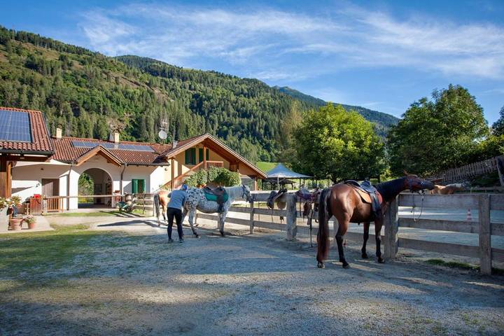 Casa vacanza per 2 persone, con Giardino a Pellizzano