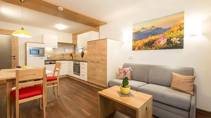 Ferienwohnung für 3 Personen, mit Garten und Sauna sowie Balkon in Ramsau am Dachstein - 3