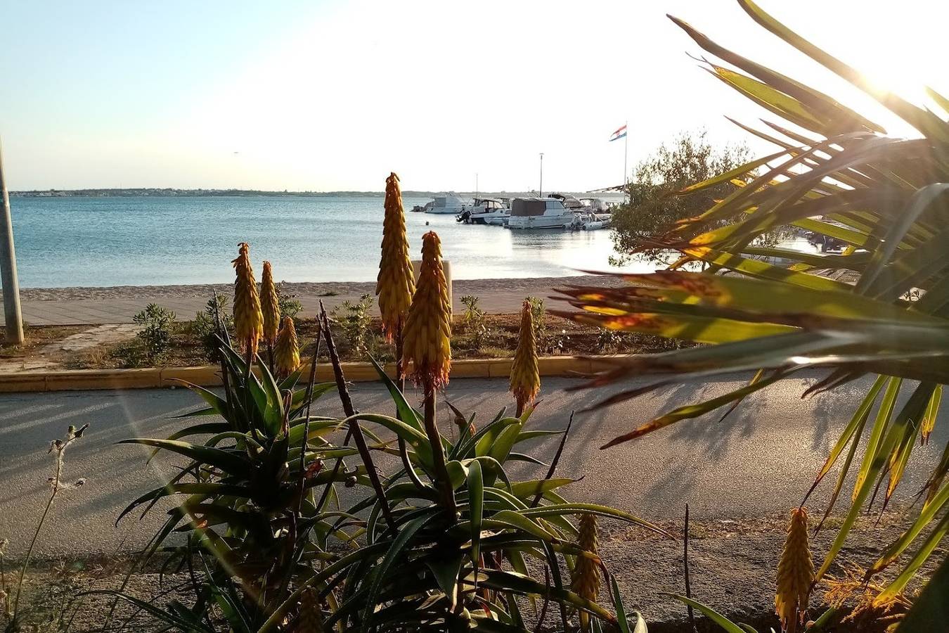 Ganze Wohnung, 1-Zimmer-Ferienwohnung am Strand Vrsi - Mulo, Zadar A-12519-c in Mulo, Vrsi