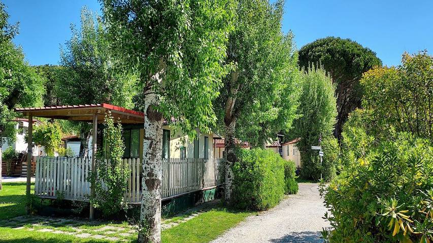 Bungalow für 6 Personen, mit Terrasse und Pool, mit Haustier in Ligurien - 4