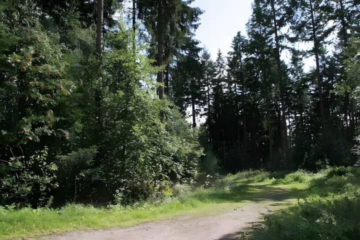 Ganze Wohnung, Ferienwohnung Fernblick 1, 50qm' mit  Terrasse, gemeinsamem Garten, Hunde willkommen und Wi-Fi in Bad Grund, Harzvorland