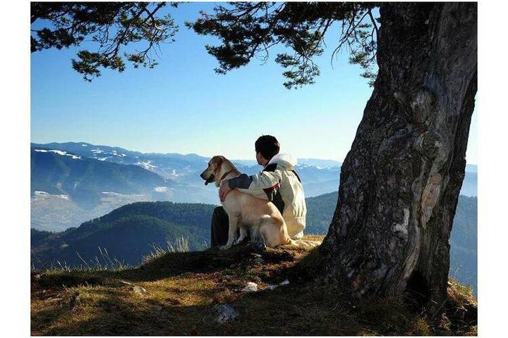 Ferienwohnung für 8 Personen, mit Garten - 1
