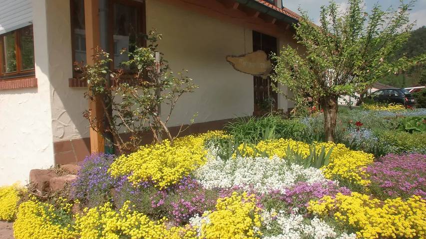 Ferienwohnung für 4 Personen, mit Sauna und Garten sowie Terrasse im Dahner Felsenland - 3