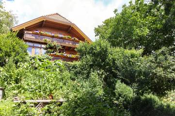 Apartament Wakacyjny dla 5 osoby w Ramsau am Dachstein, Ski Amadé, Zdjęcie 1