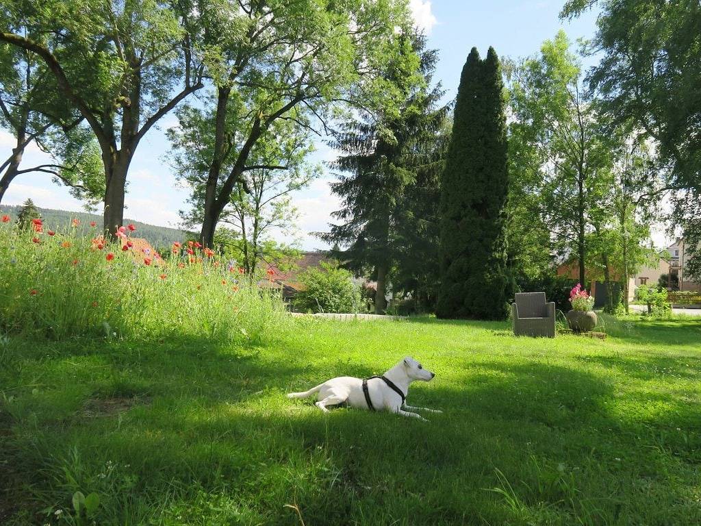 Gutsgarten Schlottenhof in Arzberg (Franken), Landkreis Wunsiedel im Fichtelgebirge