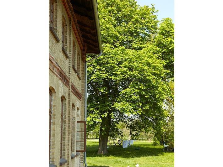 Ferienhaus für 6 Personen, mit Garten in Walow - 2