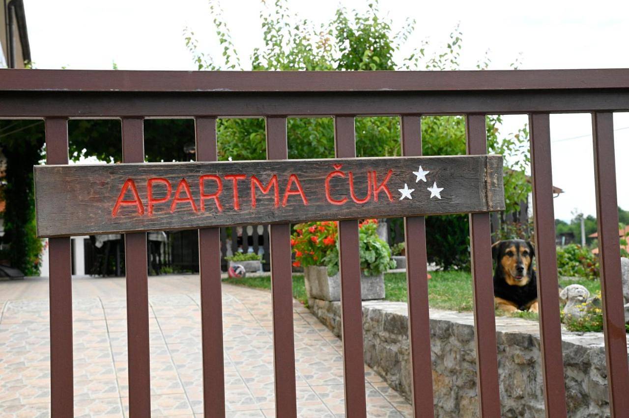 Ganze Wohnung, Apartma Čuk in Zizan, Slowenien