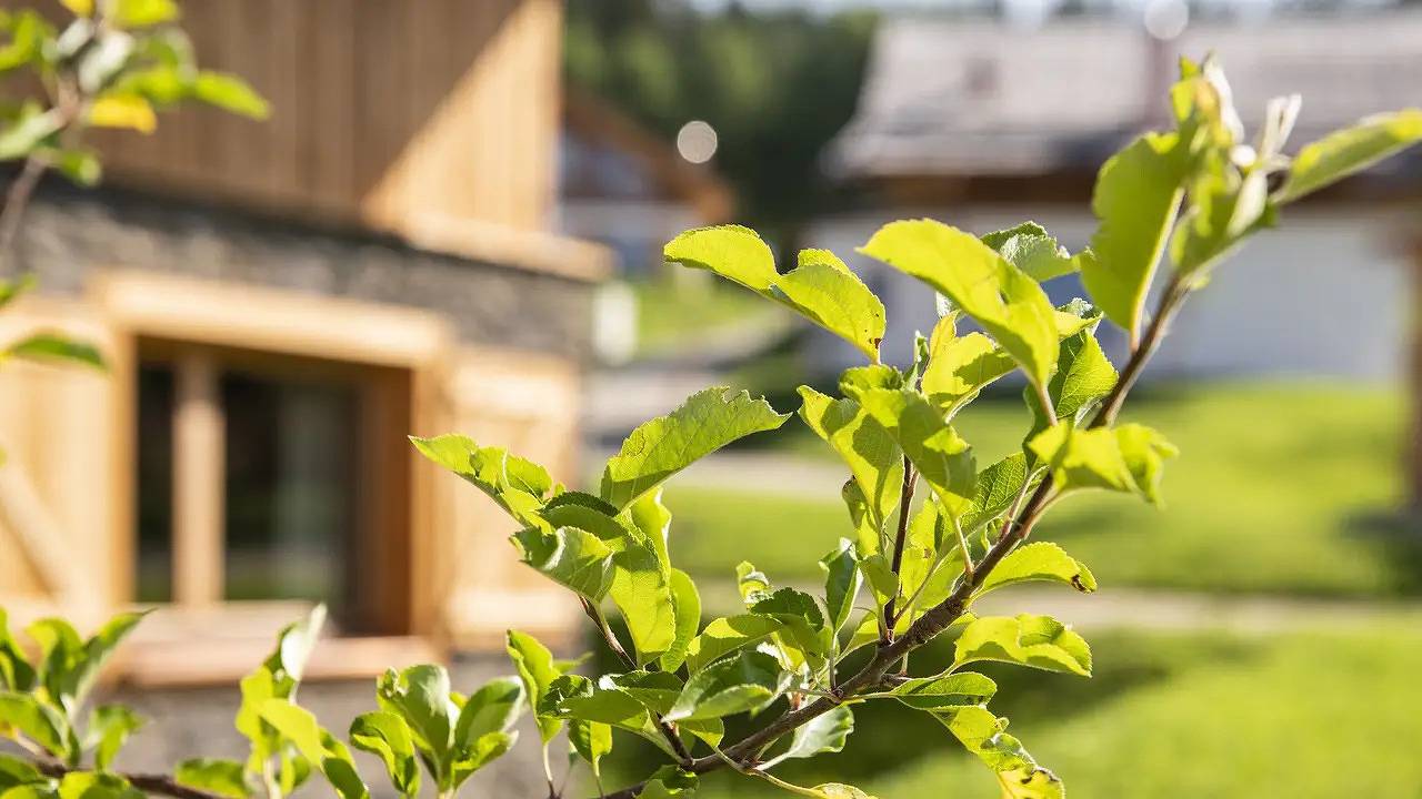 Ferienhaus für 4 Personen (84 m²) in Wölting in Tamsweg, Bundesland Salzburg