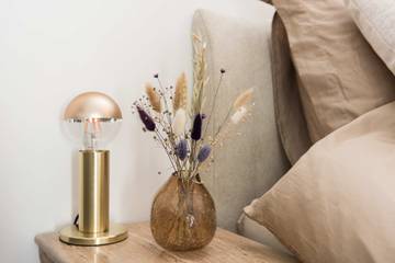 Studio voor 2 Personen in Alkmaar, Nederlandse kust, Afbeelding 3