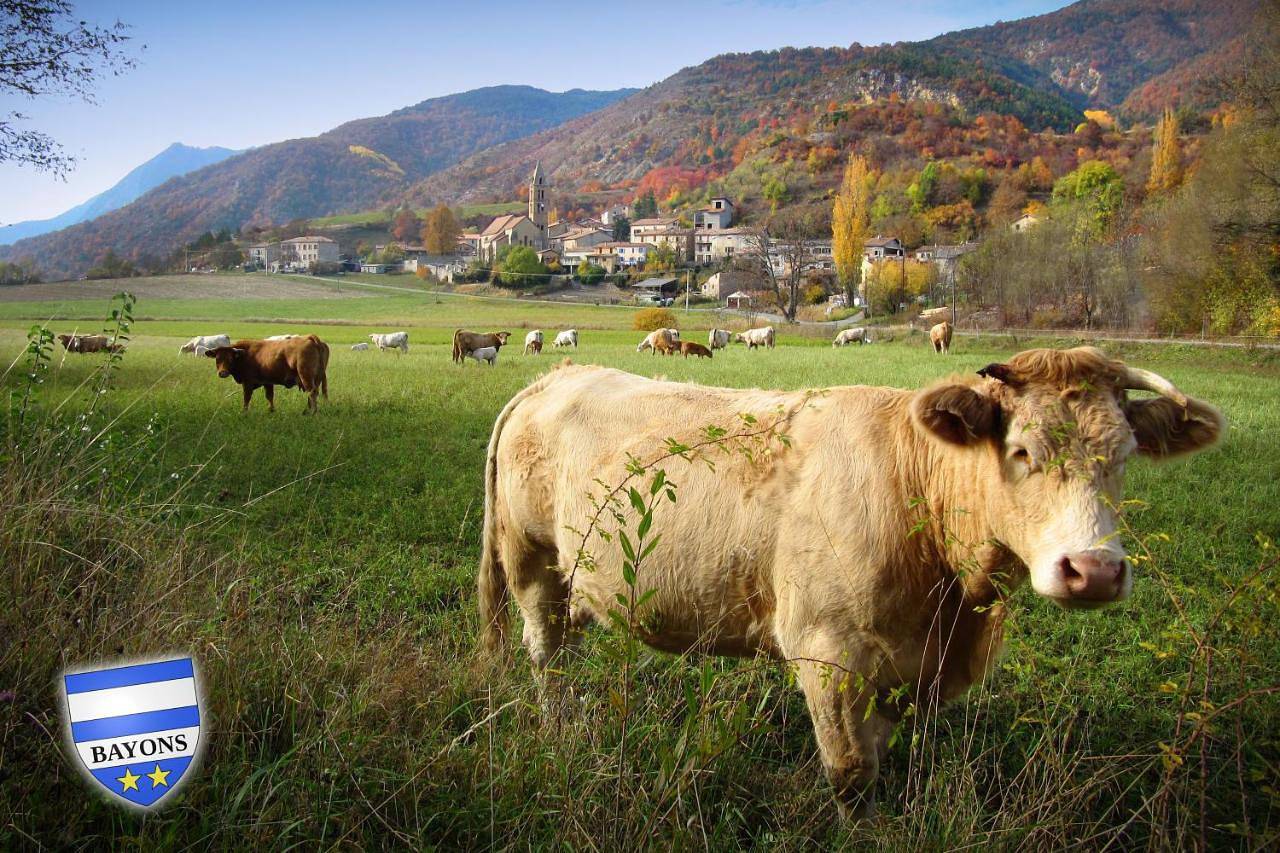 Appartement entier, Gîte La Tanière Des Alpes in Bayons, Région de Forcalquier