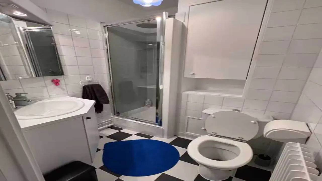 Studio entier, Studio für 2 Personen (20 m²) in Issy-les-Moulineaux in Issy-les-Moulineaux, Hauts-de-Seine