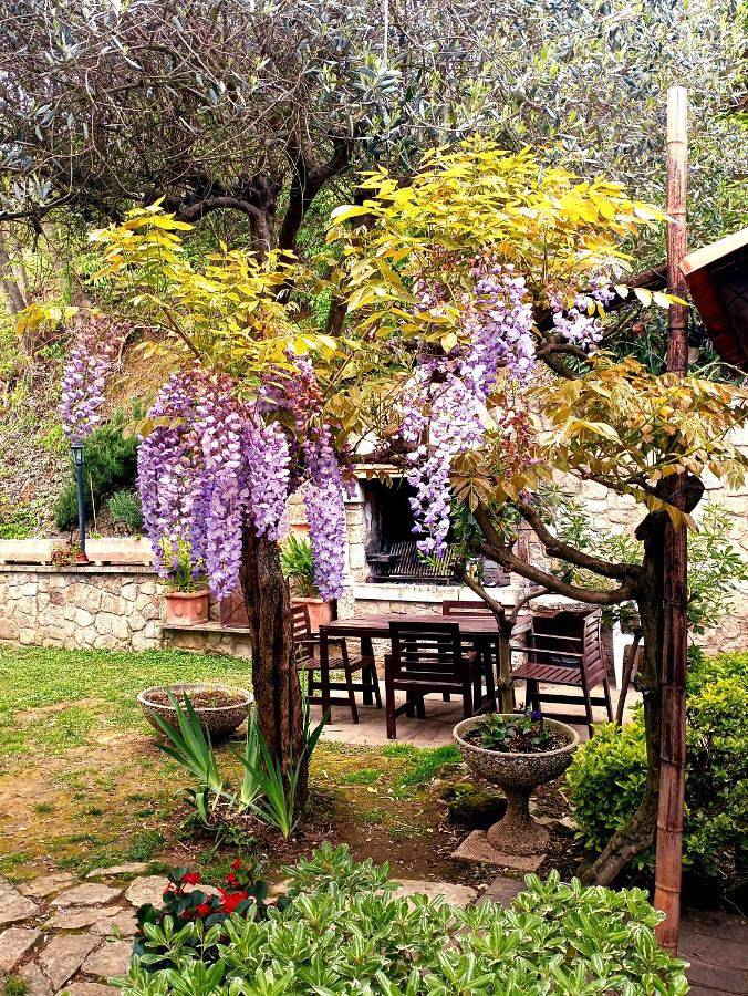 Gîte pour 6 personnes, avec jardin à Albettone