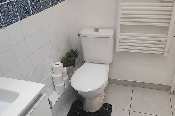 Location de vacances pour 2 personnes, avec jardin à Saint-Maur-des-Fossés - 4