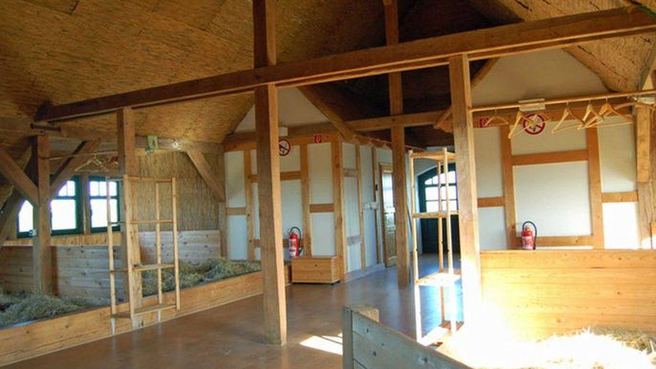 Mehrbettzimmer für 8 Personen (2 m²) in Putbus in Putbus, Rügen