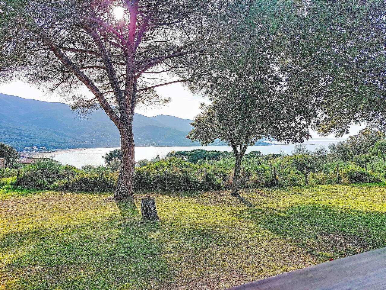 Calcatoggio 600 - Maisonnette Terra Tramandera 600.2 in Tiuccia, Calcatoggio