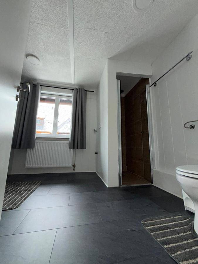 One-Bedroom House in Menzenschwand-Vorderdorf (St. Blasien), St. Blasien