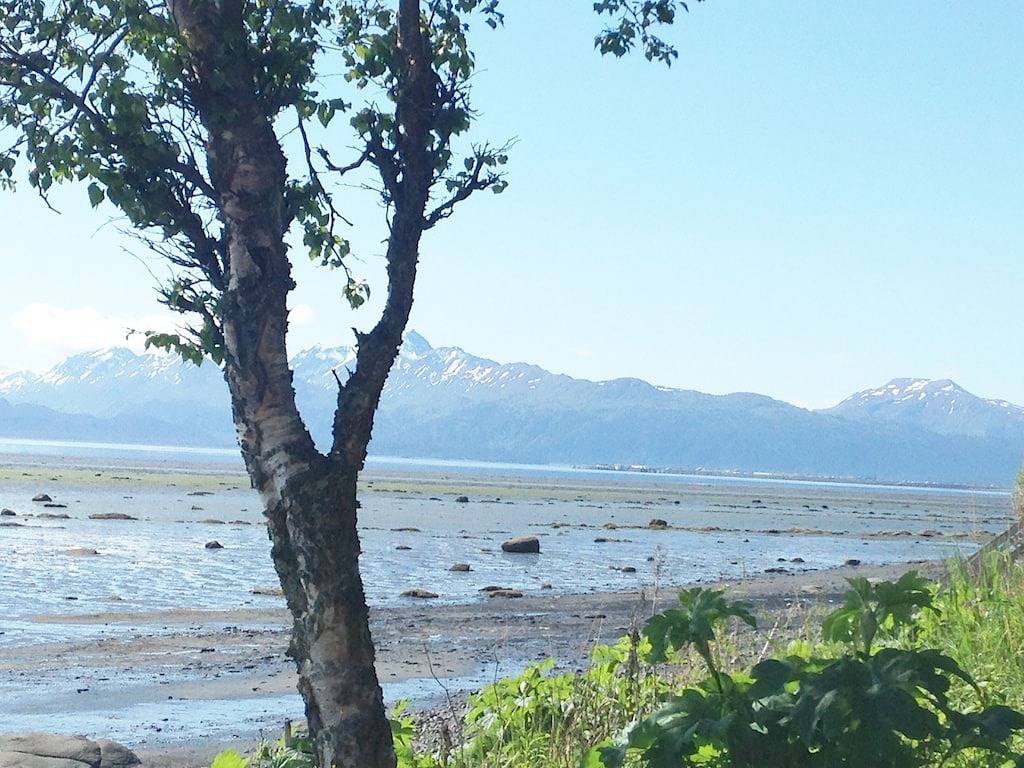 Schöne Homer Side Cabins mit Raum, um Ihr Boot parken in Homer, Kenai Peninsula