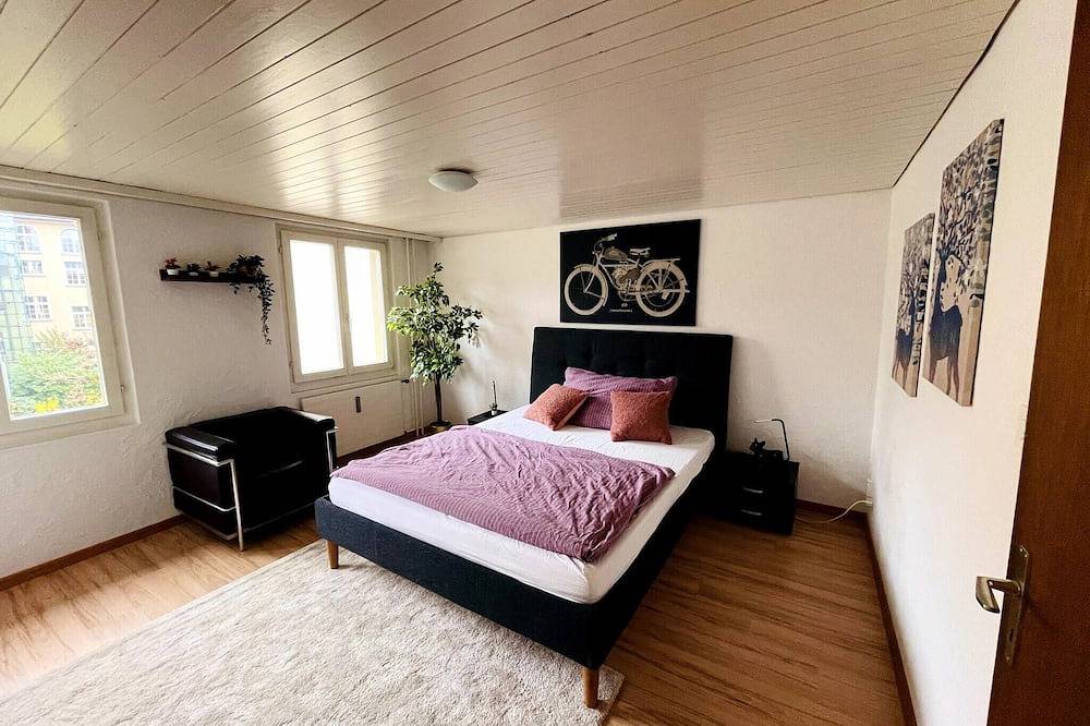 Ganze Wohnung, Gemütliche Altbauwohnung im Zentrum in St. Gallen, Bodensee (Schweiz)