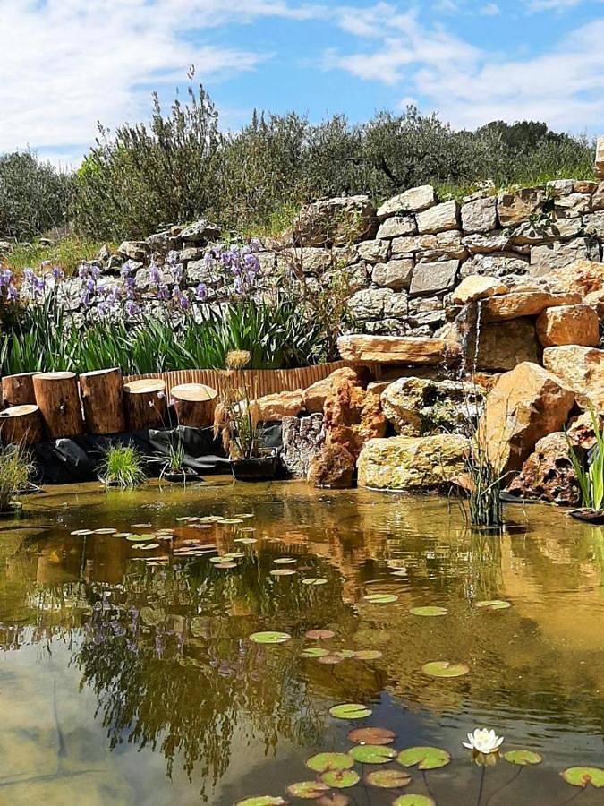 Location de vacances pour 3 personnes, avec jardin ainsi que terrasse et vue à Trans-en-Provence - 3