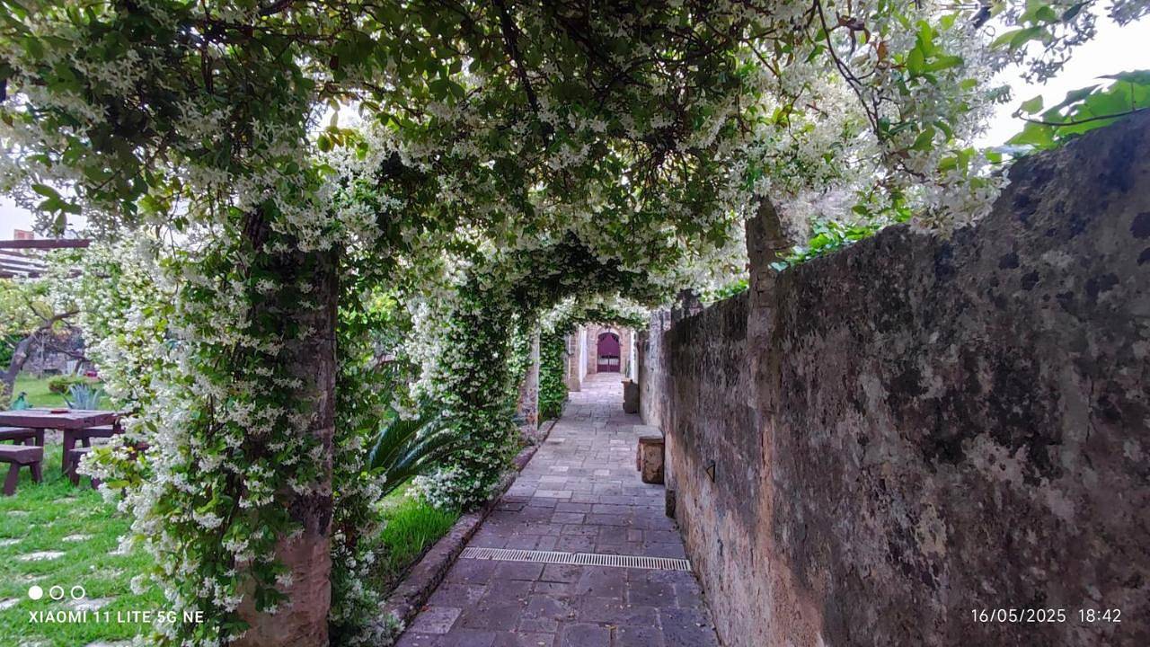 Queen Room with Garden View in Tricase, Provincia di Lecce