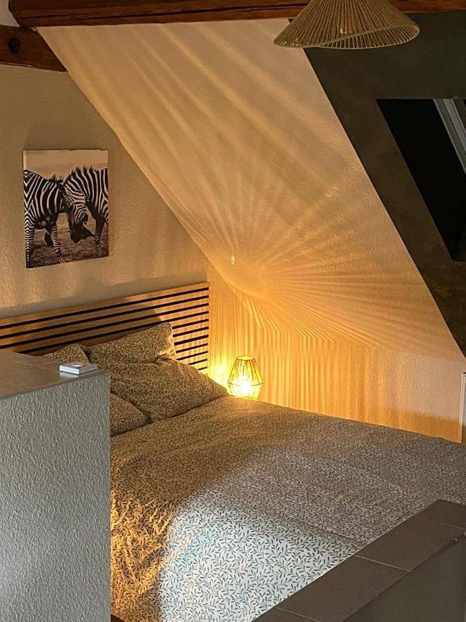 Appartement entier, Les pampas in Montbronn, Sarreguemines