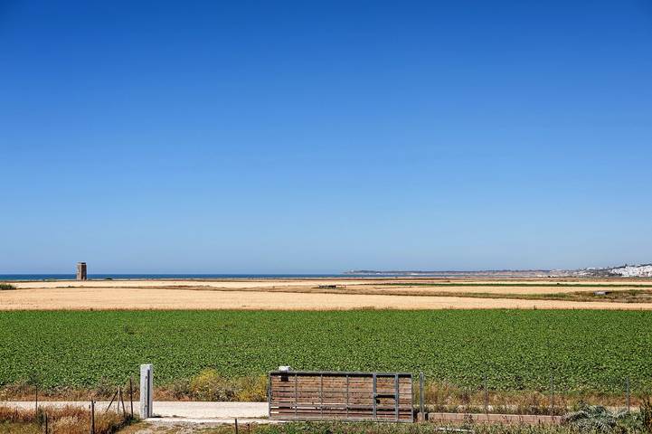 Ferienhaus für 8 Personen, mit Garten in El Palmar (Andalusien) - 4