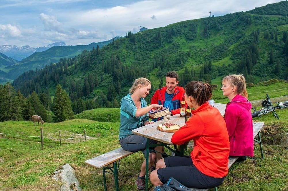 Vacation apartment - Hotel Garni Enzian in Damüls, Bregenz Forest