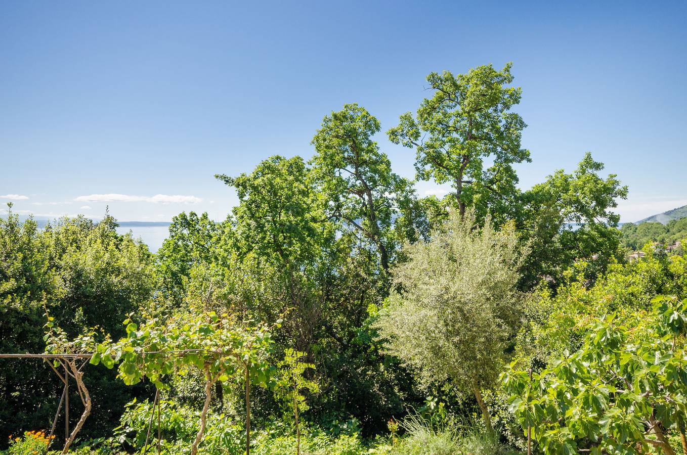 Ganzes Studio, Apartments Mladen Jelica in Icici, Opatija Riviera