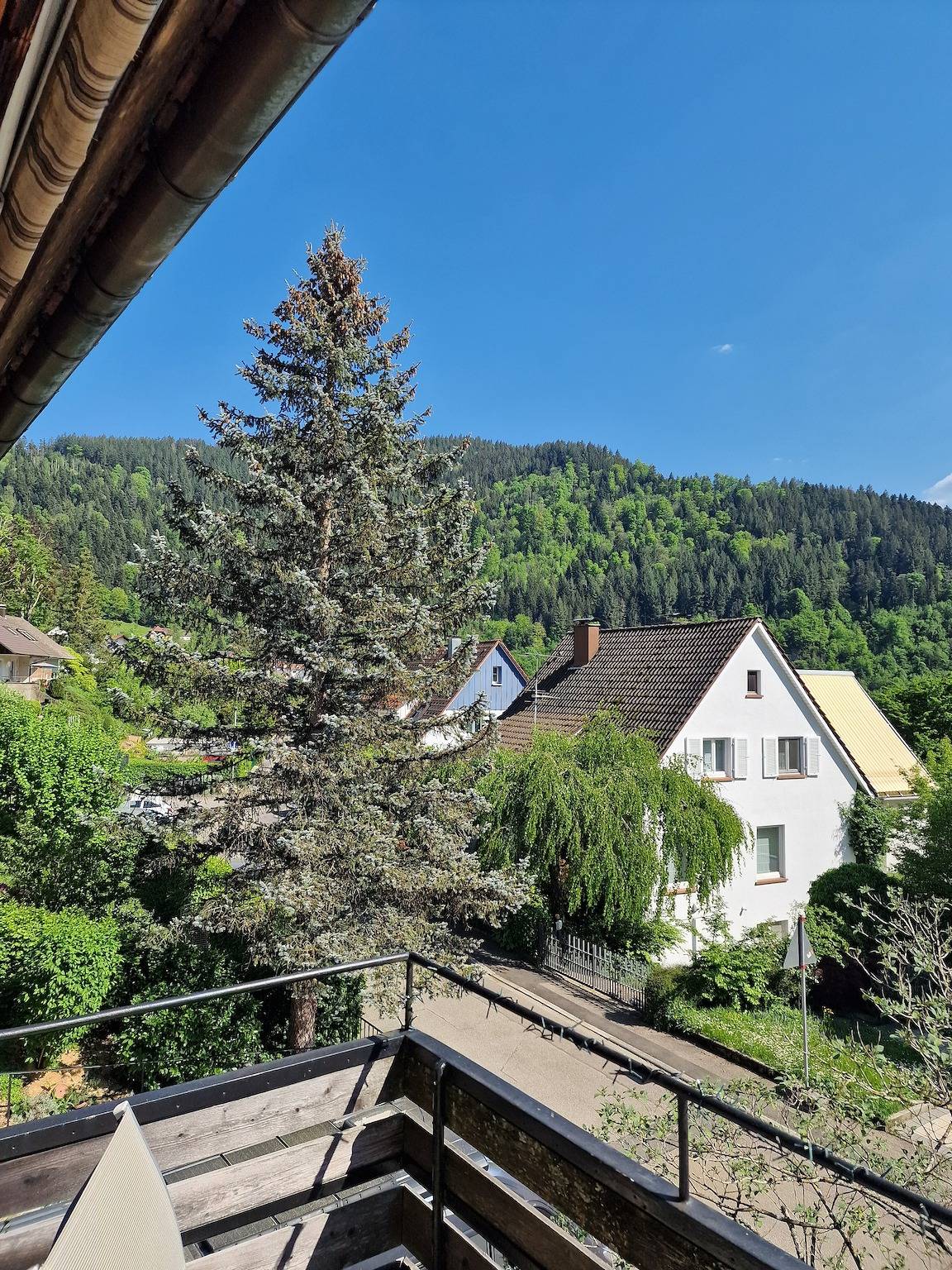 Ganze Wohnung, Ferienwohnung Rebberg 1" mit Balkon und Wlan in Wolfach, Kinzigtal