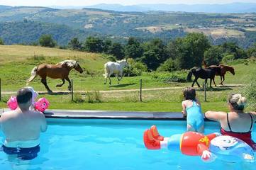 Gîte pour 6 personnes, avec jardin ainsi que piscine et terrasse, animaux acceptés à Plats