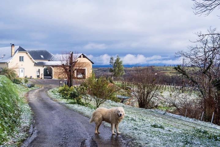 Chambre d’hôte pour 7 personnes, avec vue et jardin, animaux acceptés à Monein