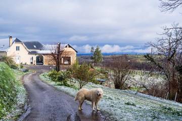 Cottage pour 7 personnes, avec jardin et vue, animaux acceptés à Monein
