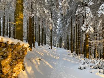 Ferienhaus für 3 Personen in Winterberg, Hochsauerlandkreis, Bild 4