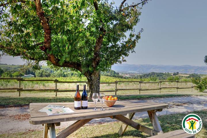 Gîte pour 4 personnes, avec jardin et terrasse à Mercurol