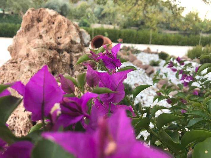 Casa de vacaciones para 9 personas, con vistas además de piscina y jardín en Sierra de Cazorla - 4