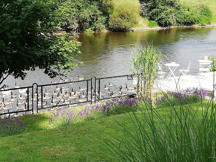 Gîte pour 2 personnes, avec jardin ainsi que piscine et vue à Esneux - 2