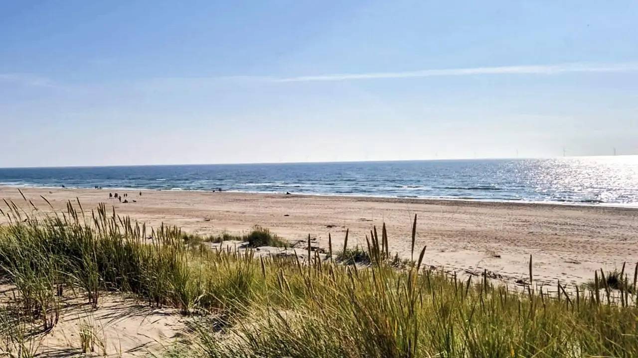Ferienhaus für 6 Personen (44 m²) in Ringkøbing in Søndervig, Holmsland Klit